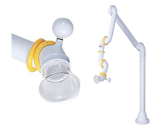 フォルテFの画像